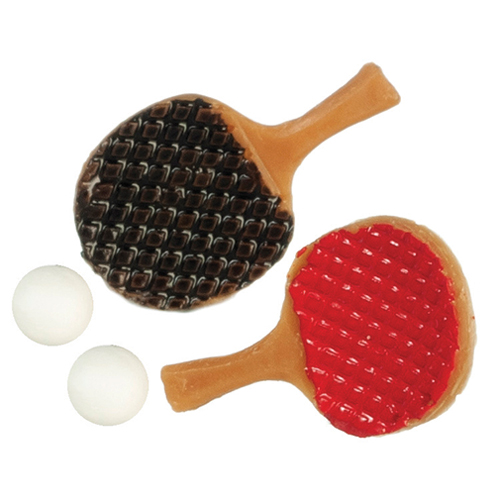 Ping Pong Paddles and Ball